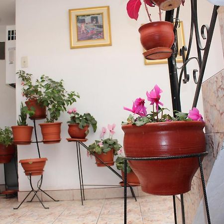 Kennedy Guest House كوسكو المظهر الخارجي الصورة